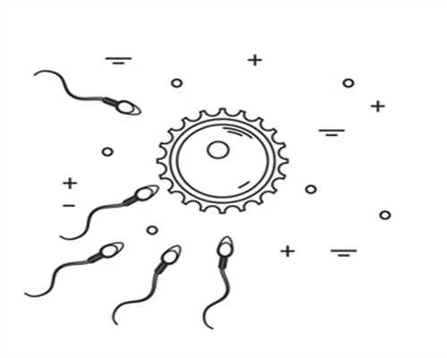 捐卵过程：代孕辅助孵化